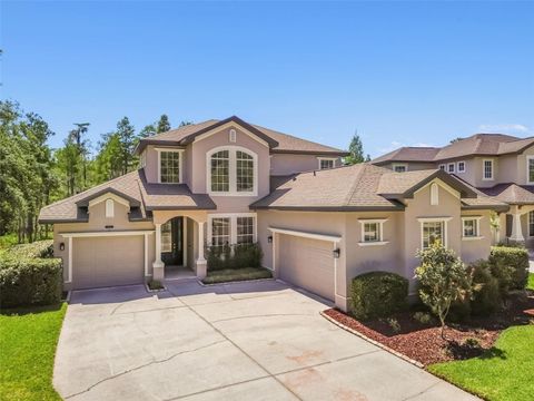 A home in LAND O LAKES