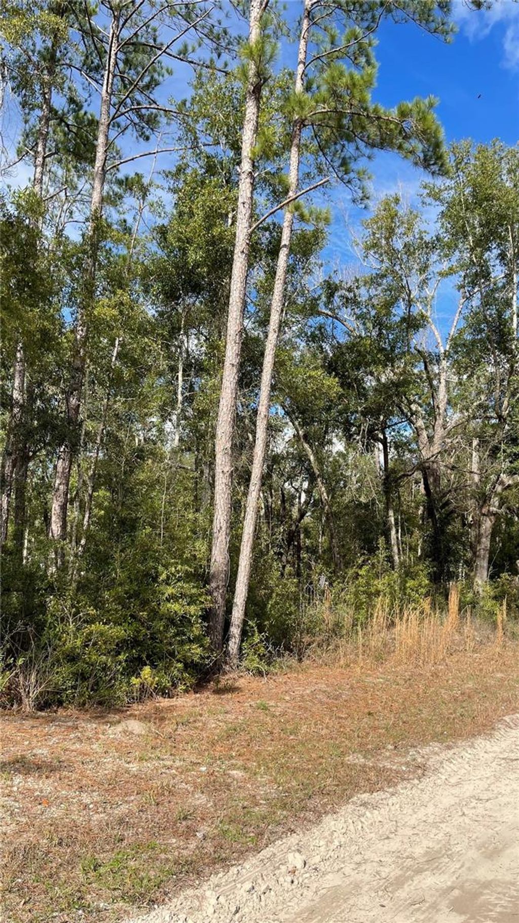 Photo of 15635 97th Drive, Live Oak, FL 32060 (MLS # GC536504)