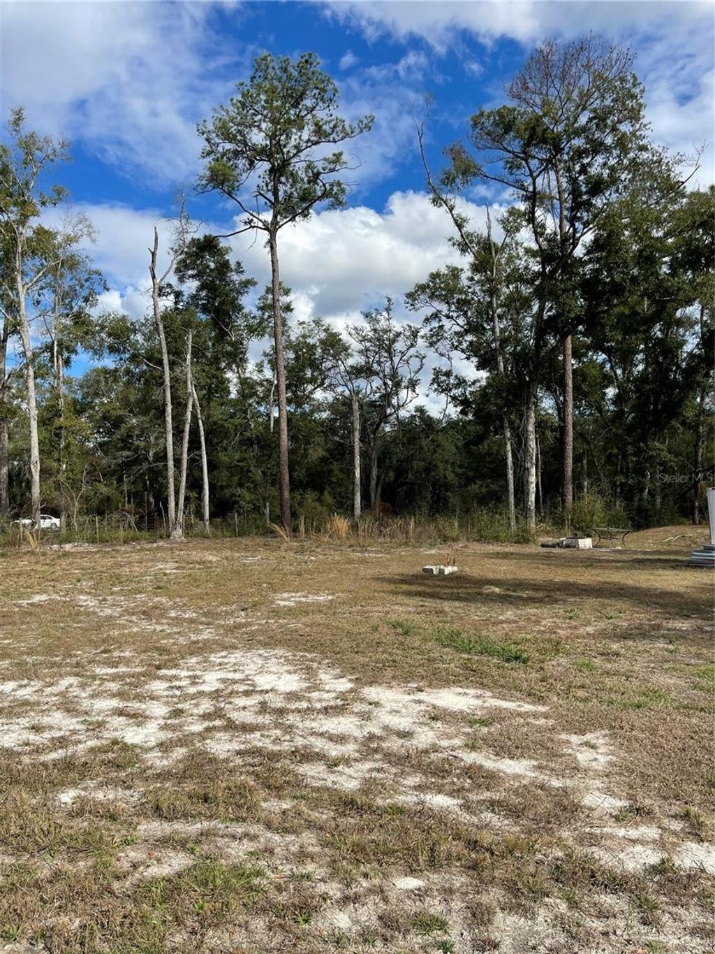 Photo of 15635 97th Drive, Live Oak, FL 32060 (MLS # GC536504)