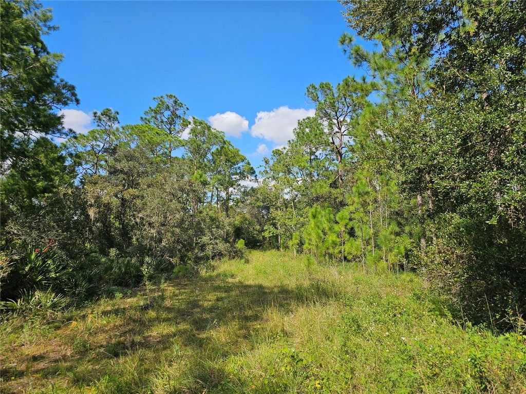 Photo of 7105 Orchid Place, Sebring, FL 33875 (MLS # P4932383)