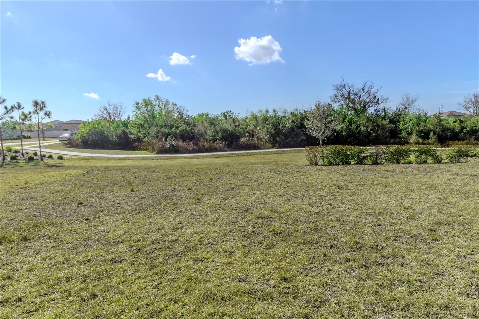 15541 COLT CREEK PLACE