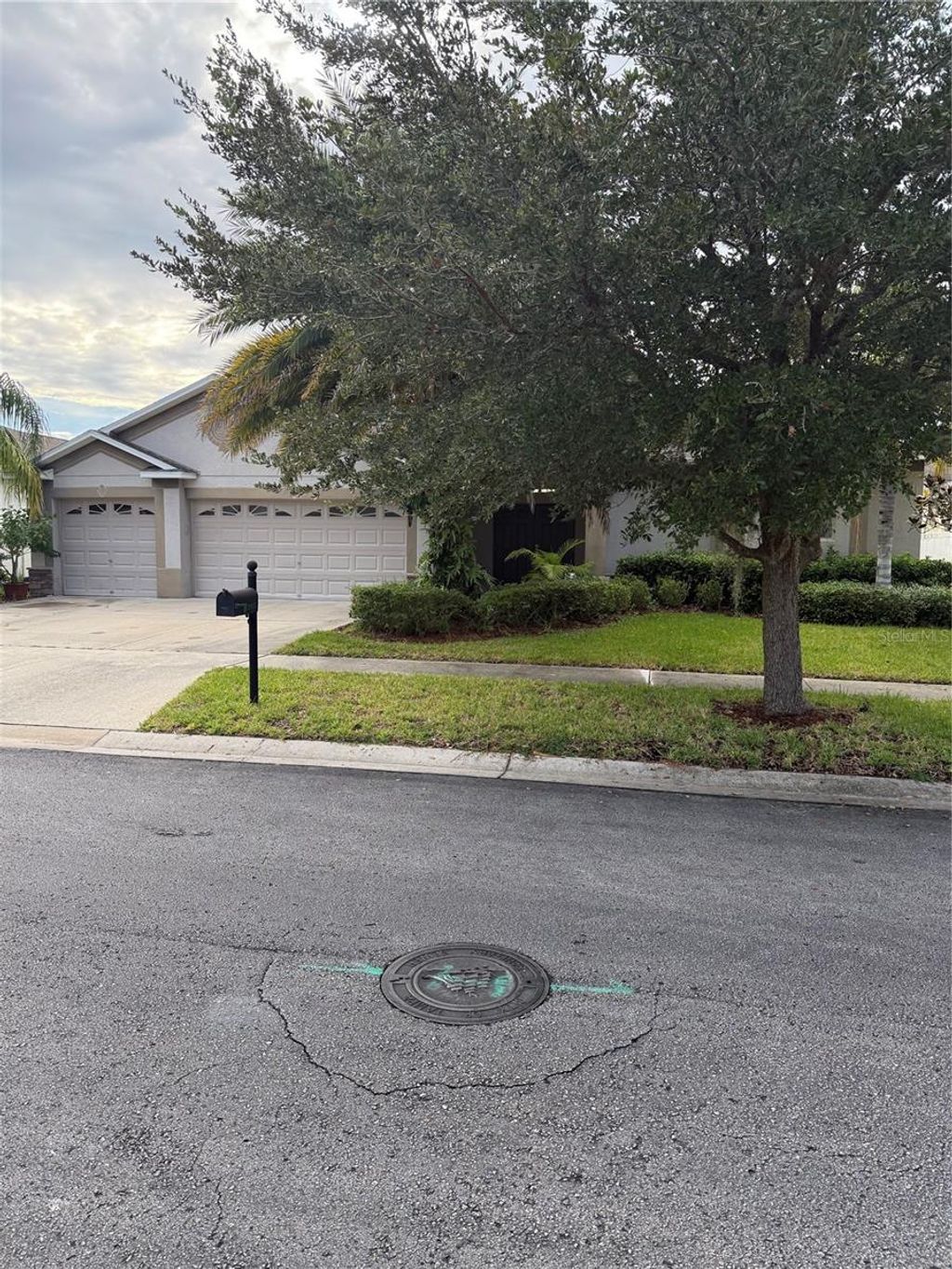 Photo of 20106 Blue Daze Avenue, Tampa, FL 33647 (MLS # L4956342)