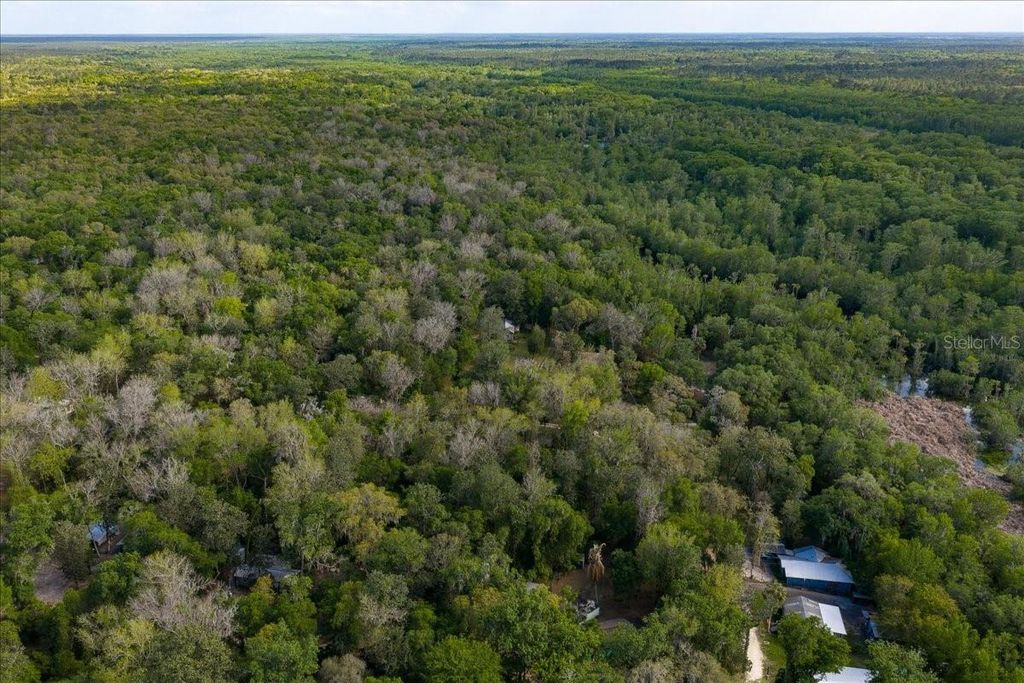 Photo of Tbd NE 189th Street, Fort Mccoy, FL 32134 (MLS # OM722616)