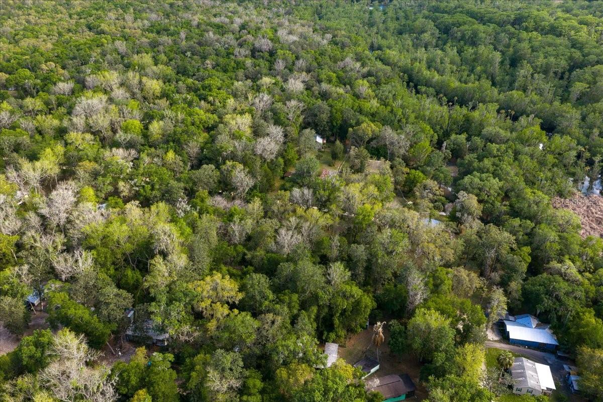TOBACCO PATCH CAMPSITES - Land