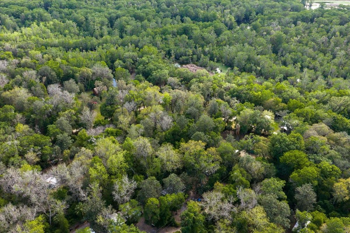 TOBACCO PATCH CAMPSITES - Land