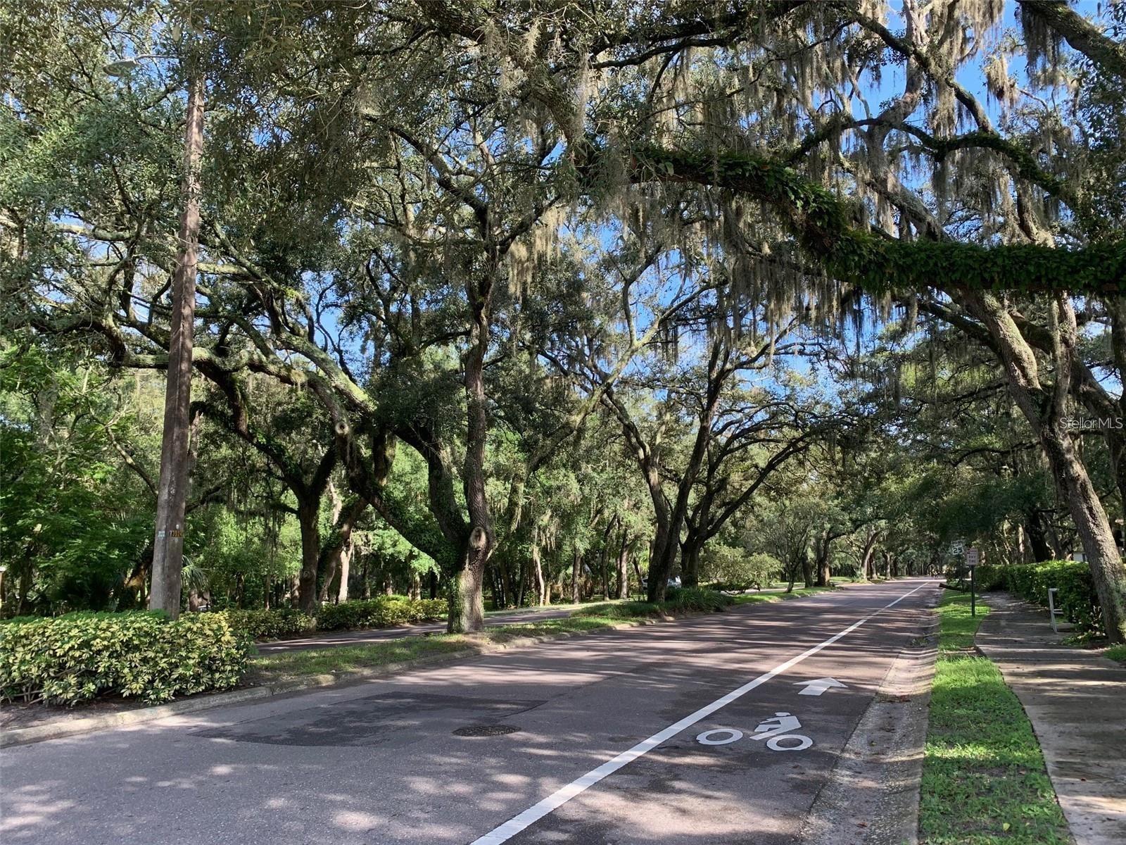 RAINTREE VILLAGE CONDO N - Residential