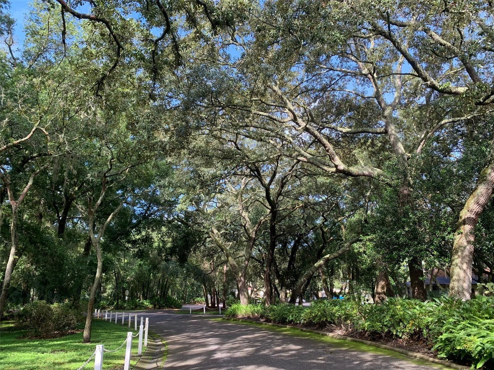 RAINTREE VILLAGE CONDO N - Residential