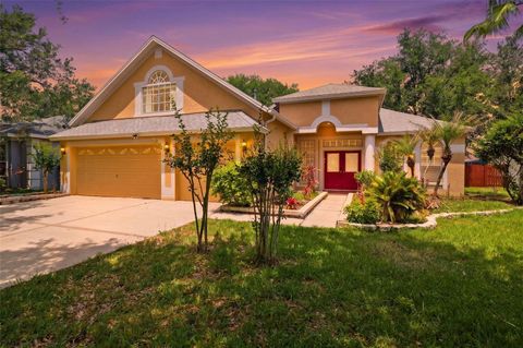 Photo of 10209 Shadow Branch Drive, Tampa, FL 33647 (MLS # TB8504975)