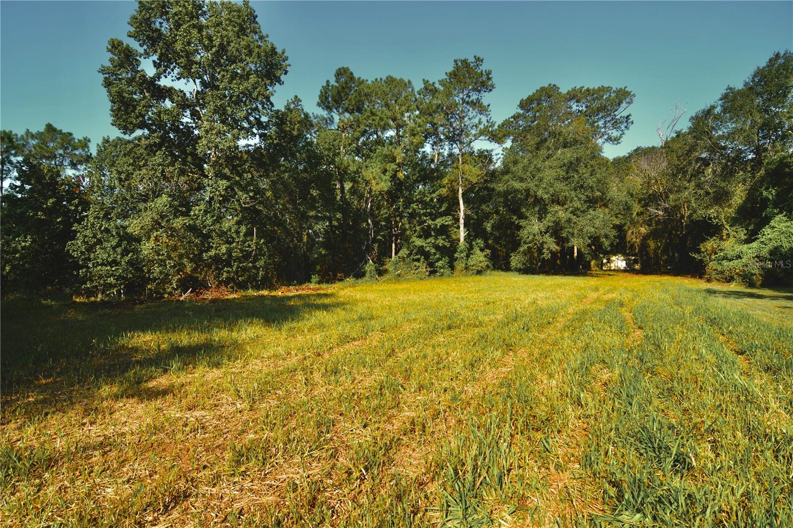 00 HALL LAKE ROAD