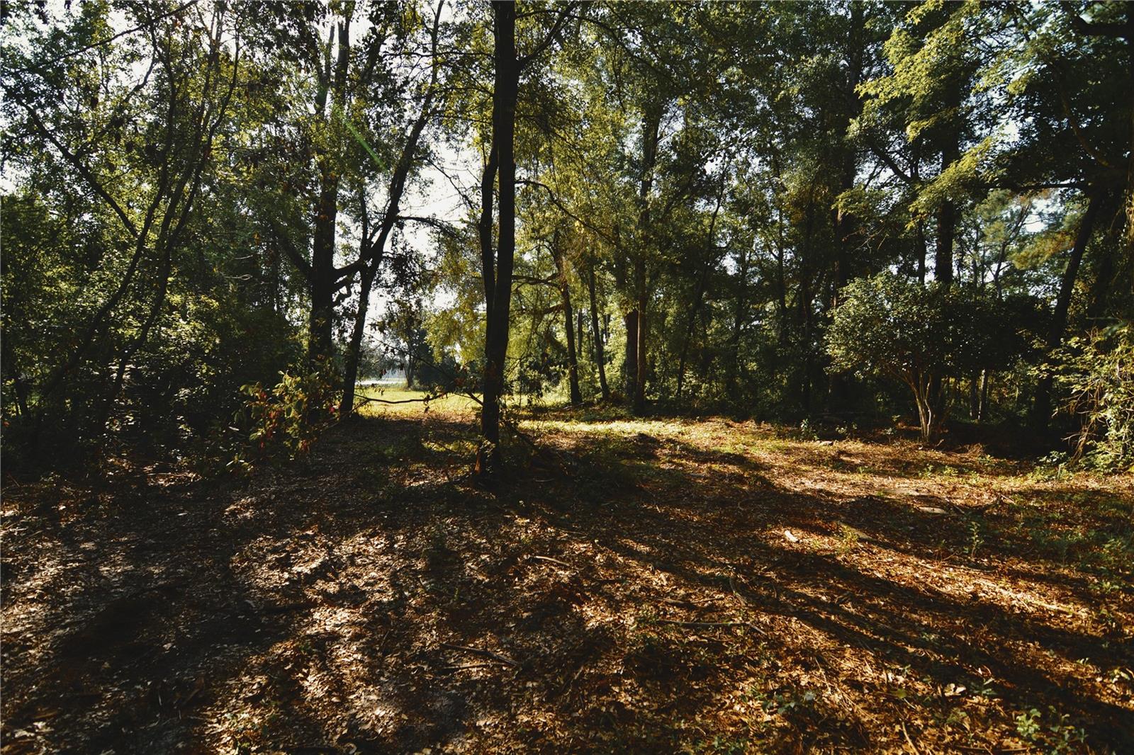 00 HALL LAKE ROAD