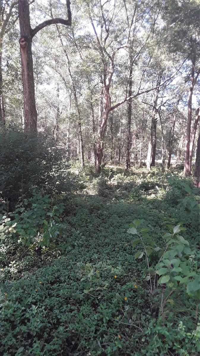 ORANGE BLOSSOM ESTATE - Land