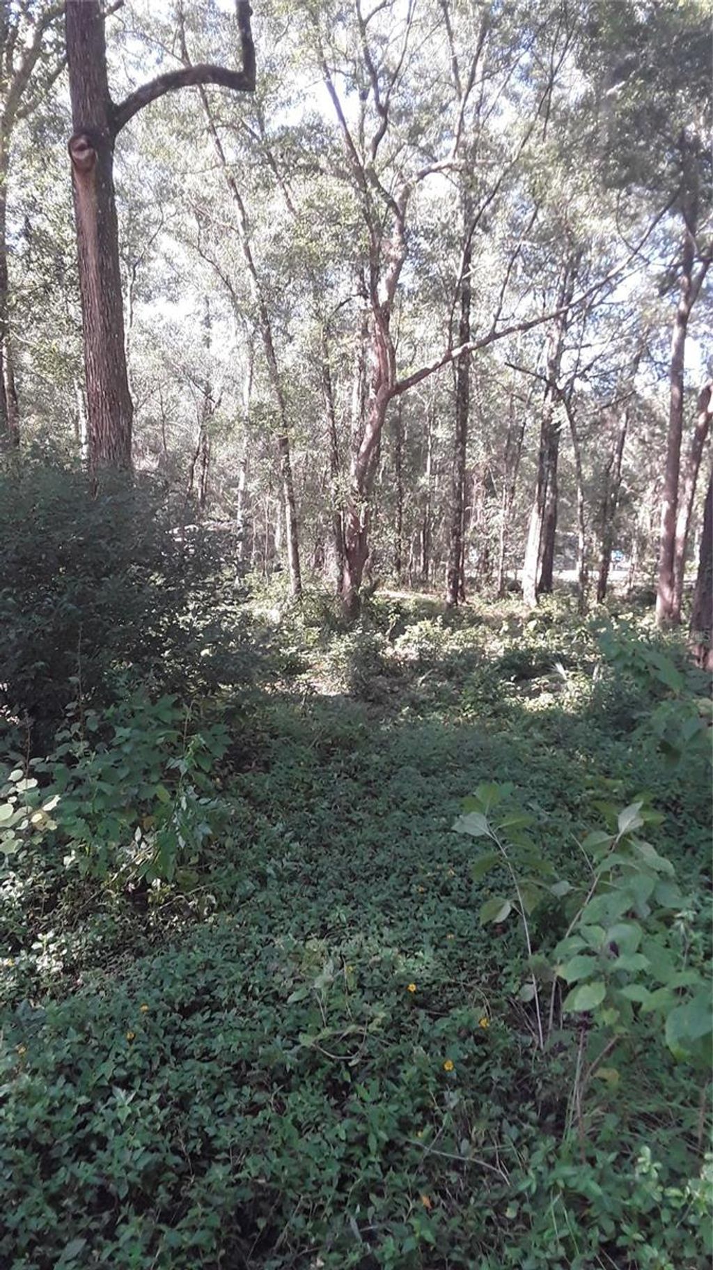 Photo of 5314 Cucumber Street, Sebring, FL 33875 (MLS # OM717320)