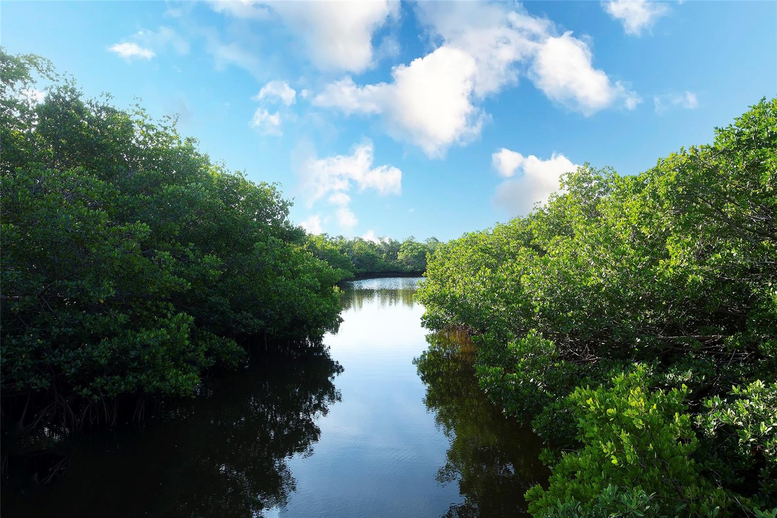 SANDY POINTE PH I - Residential