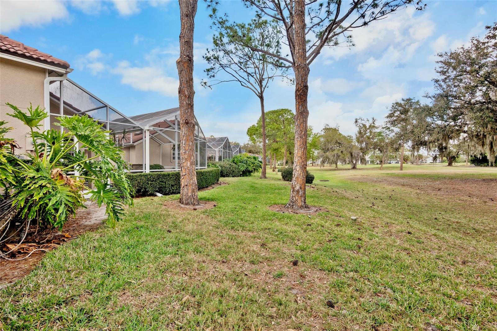 MEADOWS THE - Residential