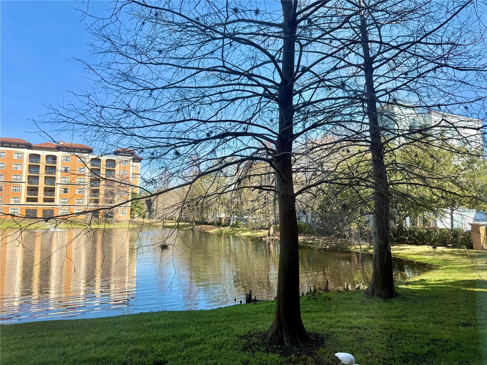 FLORIDAYS ORLANDO RESIDENCE - Residential