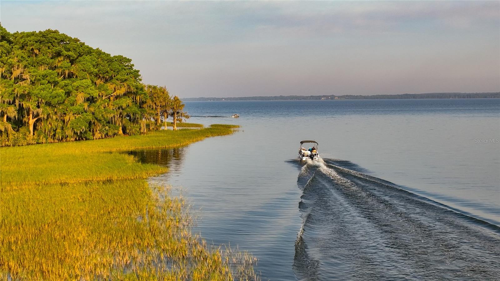 CRESSWIND AT LAKE HARRIS - Residential