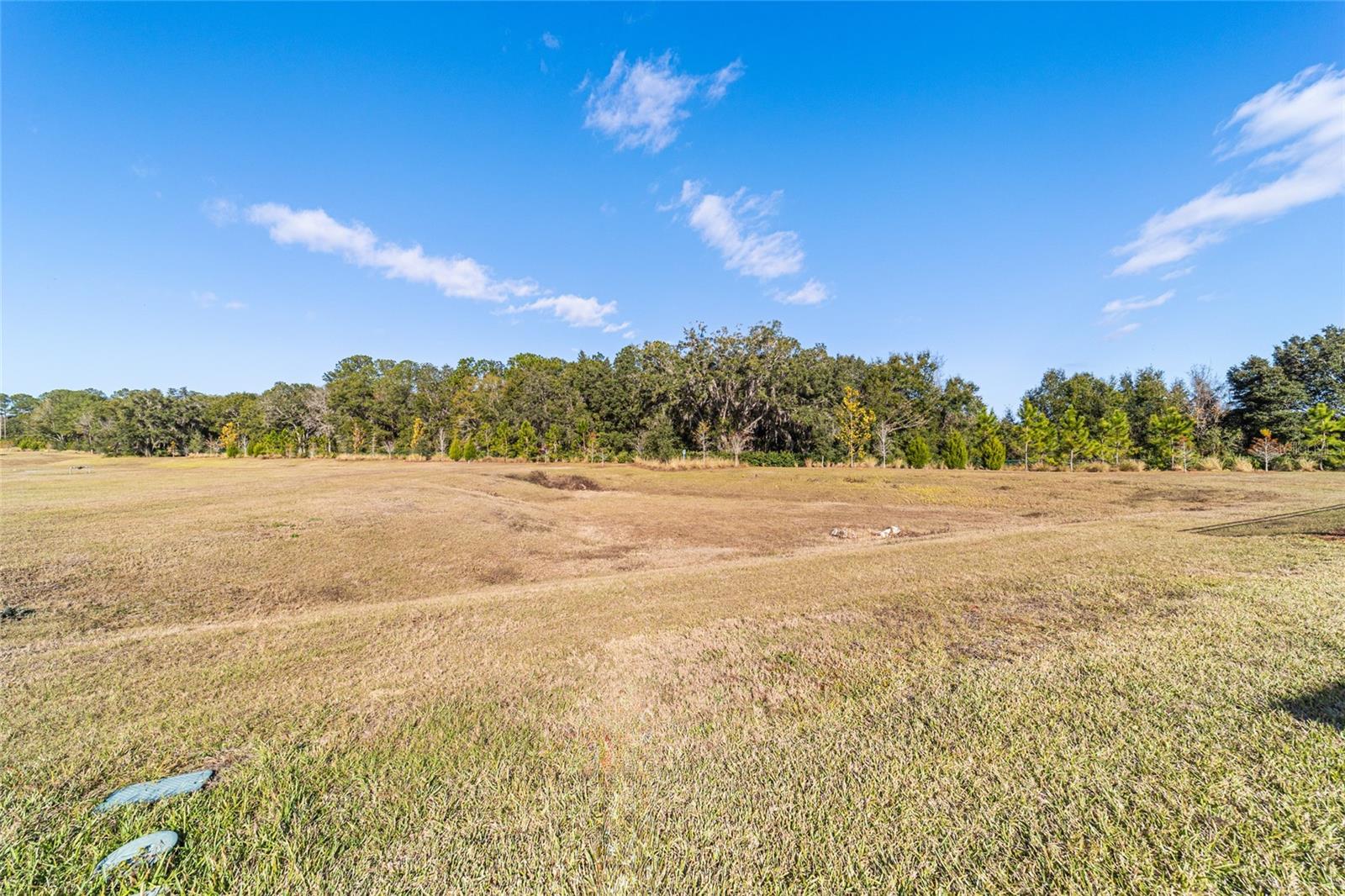OCALA PRESERVE 13 - Residential
