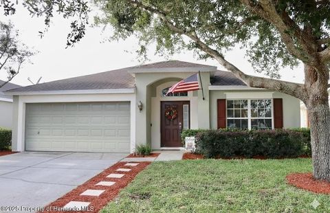 Photo of 15585 Lily Wood Lane, Brooksville, FL 34604 (MLS # W7877508) Photo of 15585 Lily Wood Lane, Brooksville, FL 34604 (MLS # W7877508)