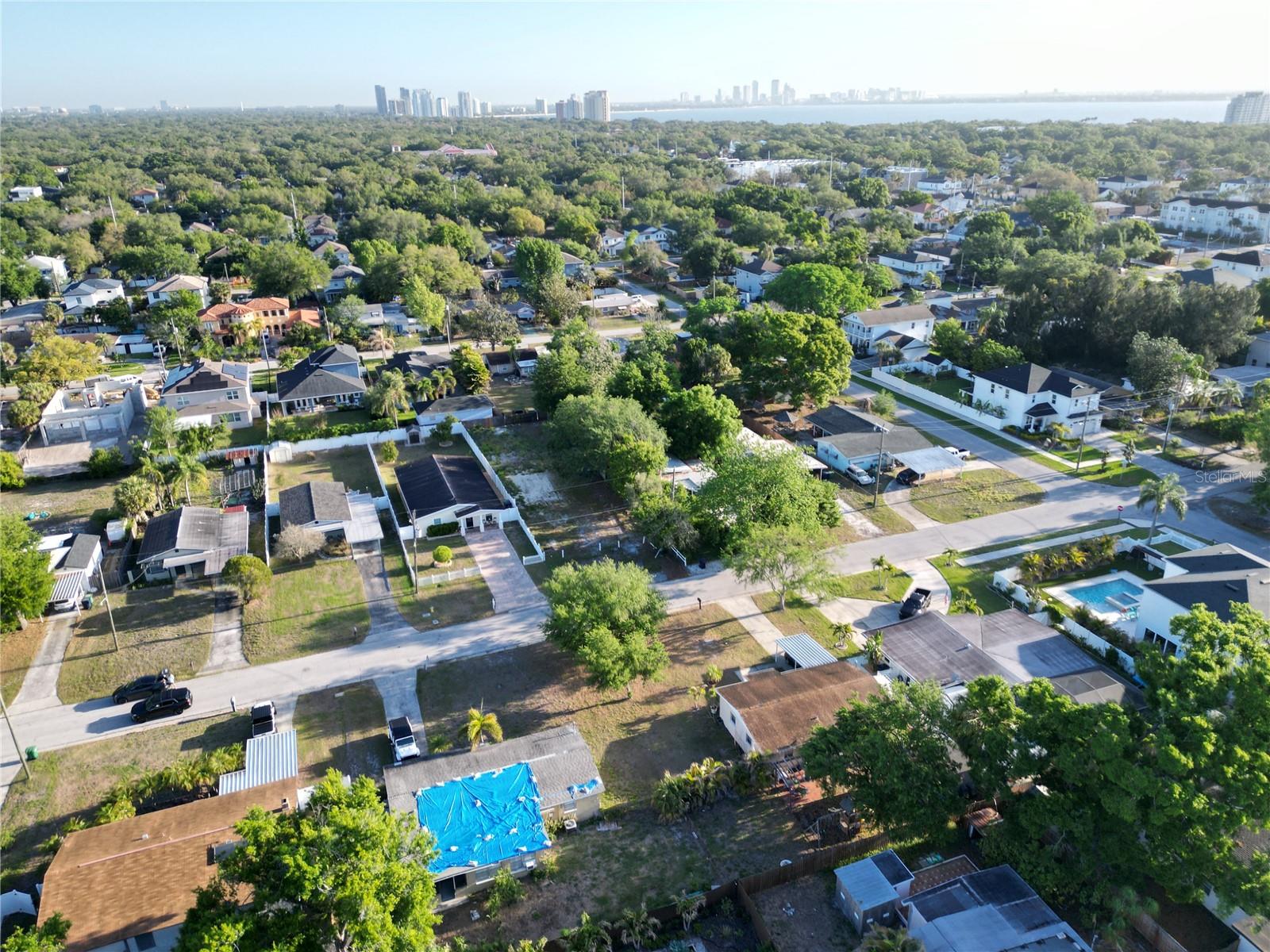 MAC DILL PARK - Land