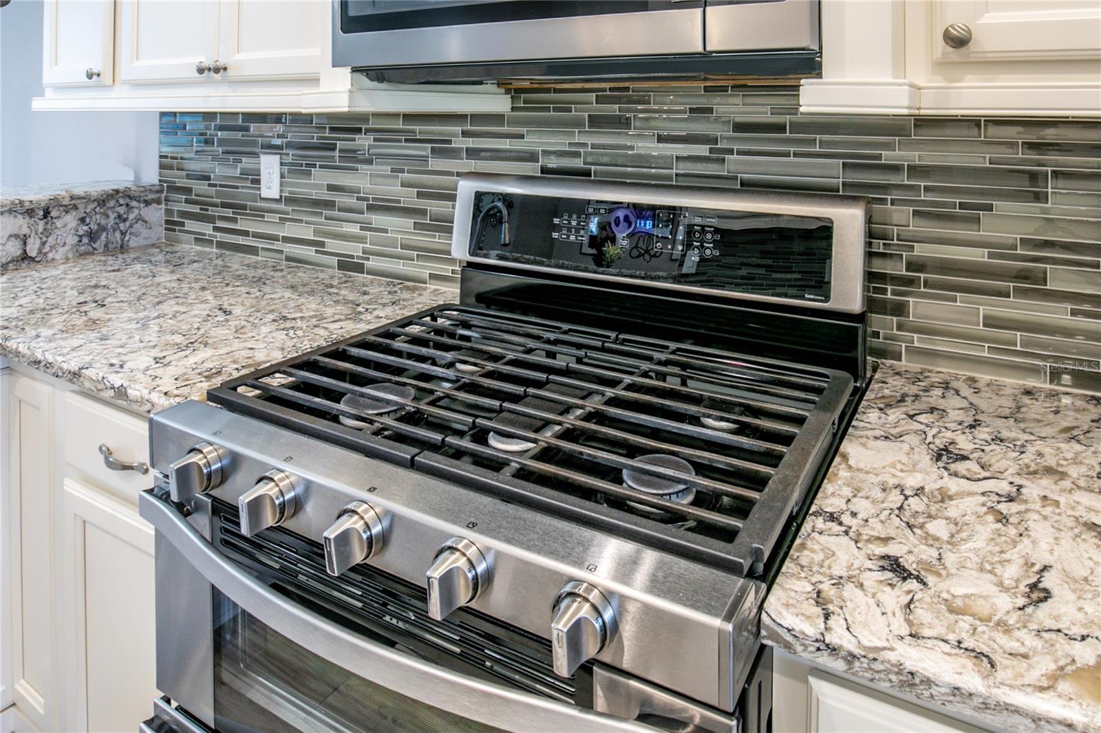 LAKES OF MOUNT DORA - Residential