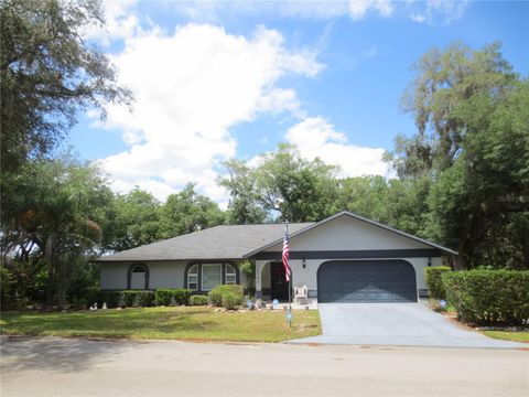16789 SE 69TH LANE OCKLAWAHA FL 32179