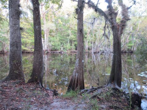 A home in OCKLAWAHA