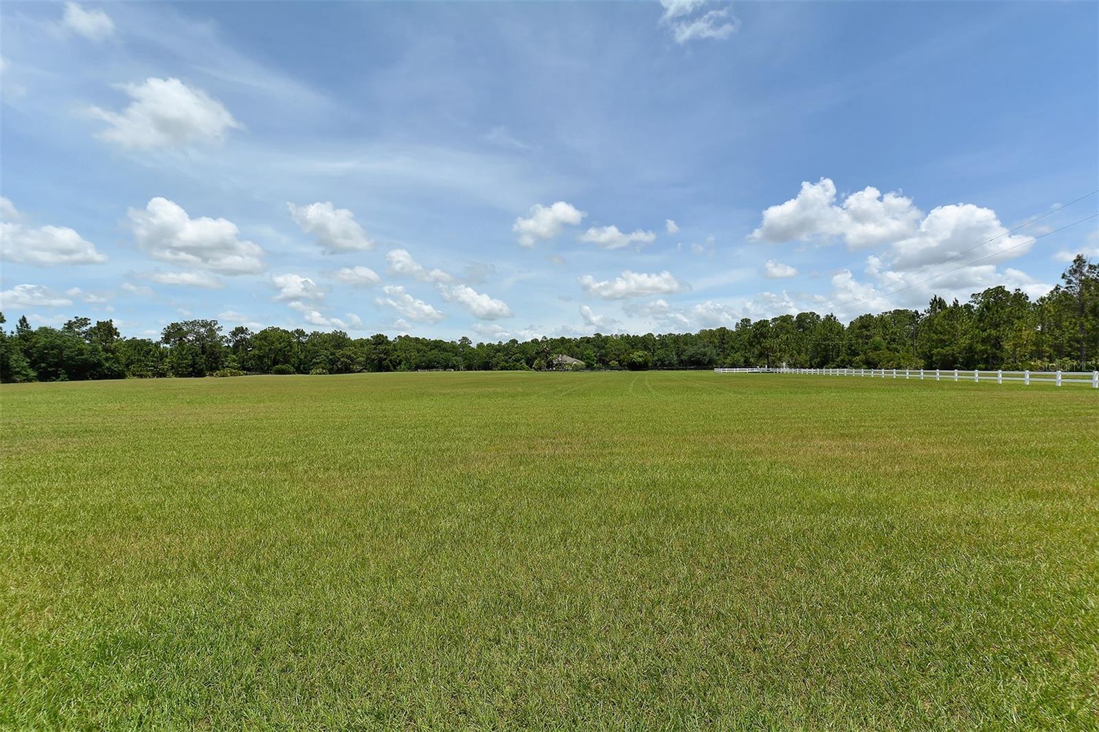 FOXWOOD AT PANTHER RIDGE - Residential