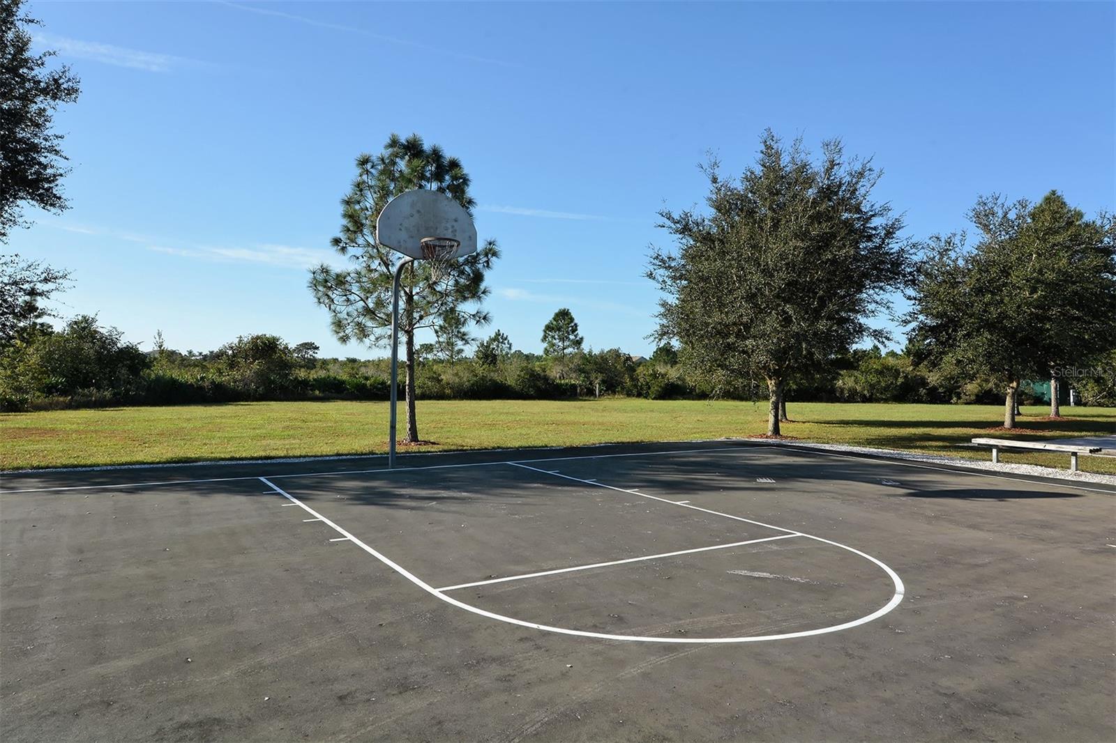 FOXWOOD AT PANTHER RIDGE - Residential