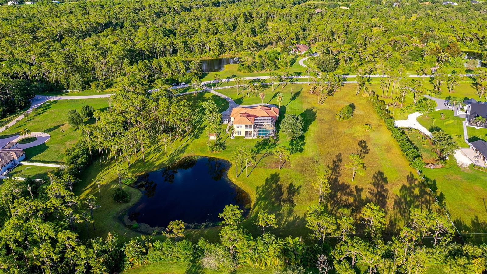 FOXWOOD AT PANTHER RIDGE - Residential