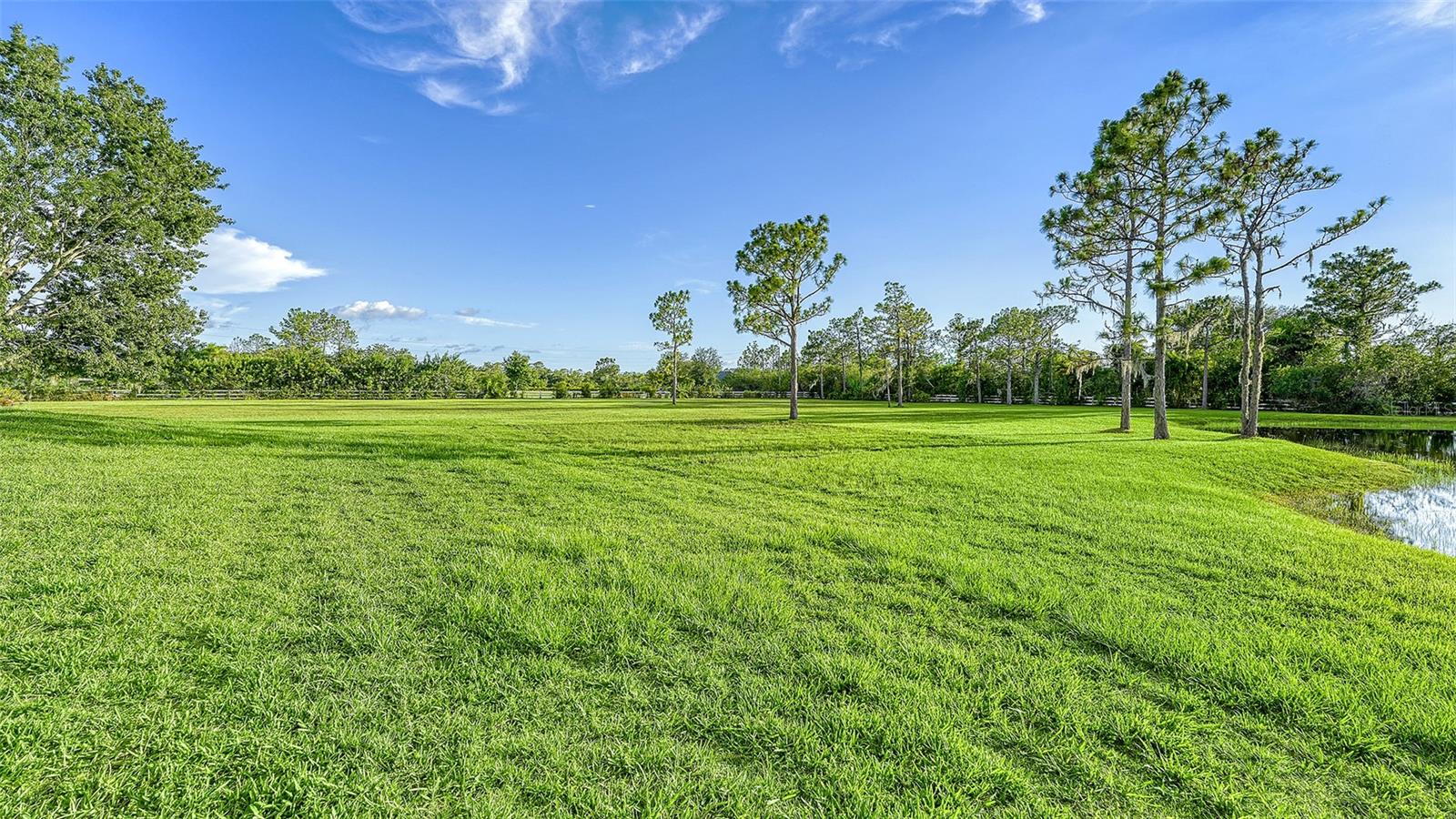 FOXWOOD AT PANTHER RIDGE - Residential