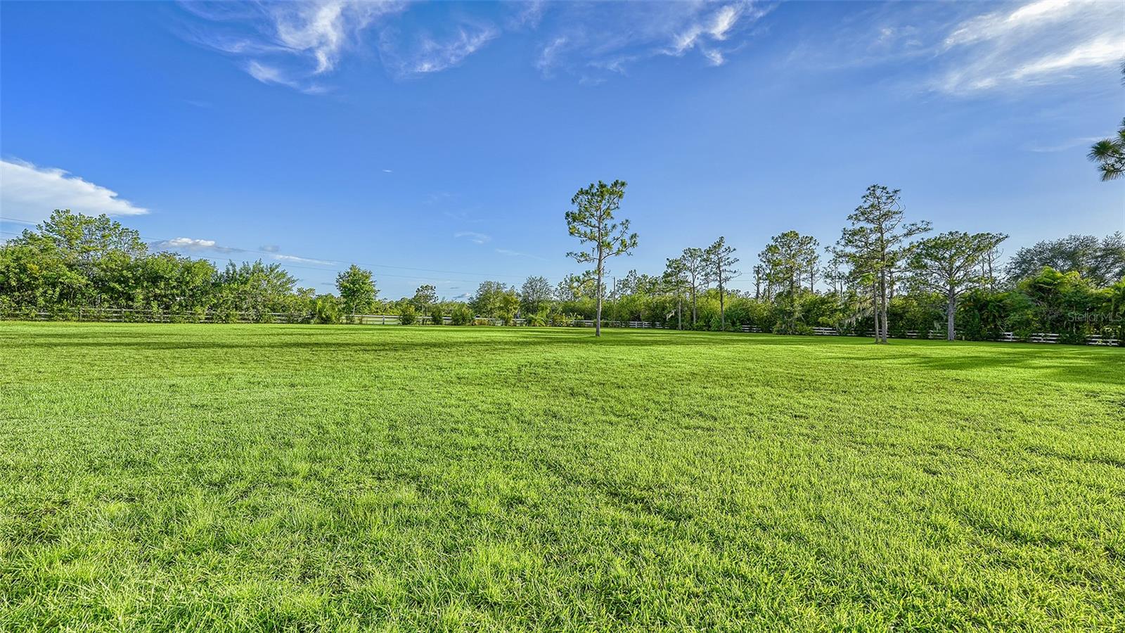 FOXWOOD AT PANTHER RIDGE - Residential