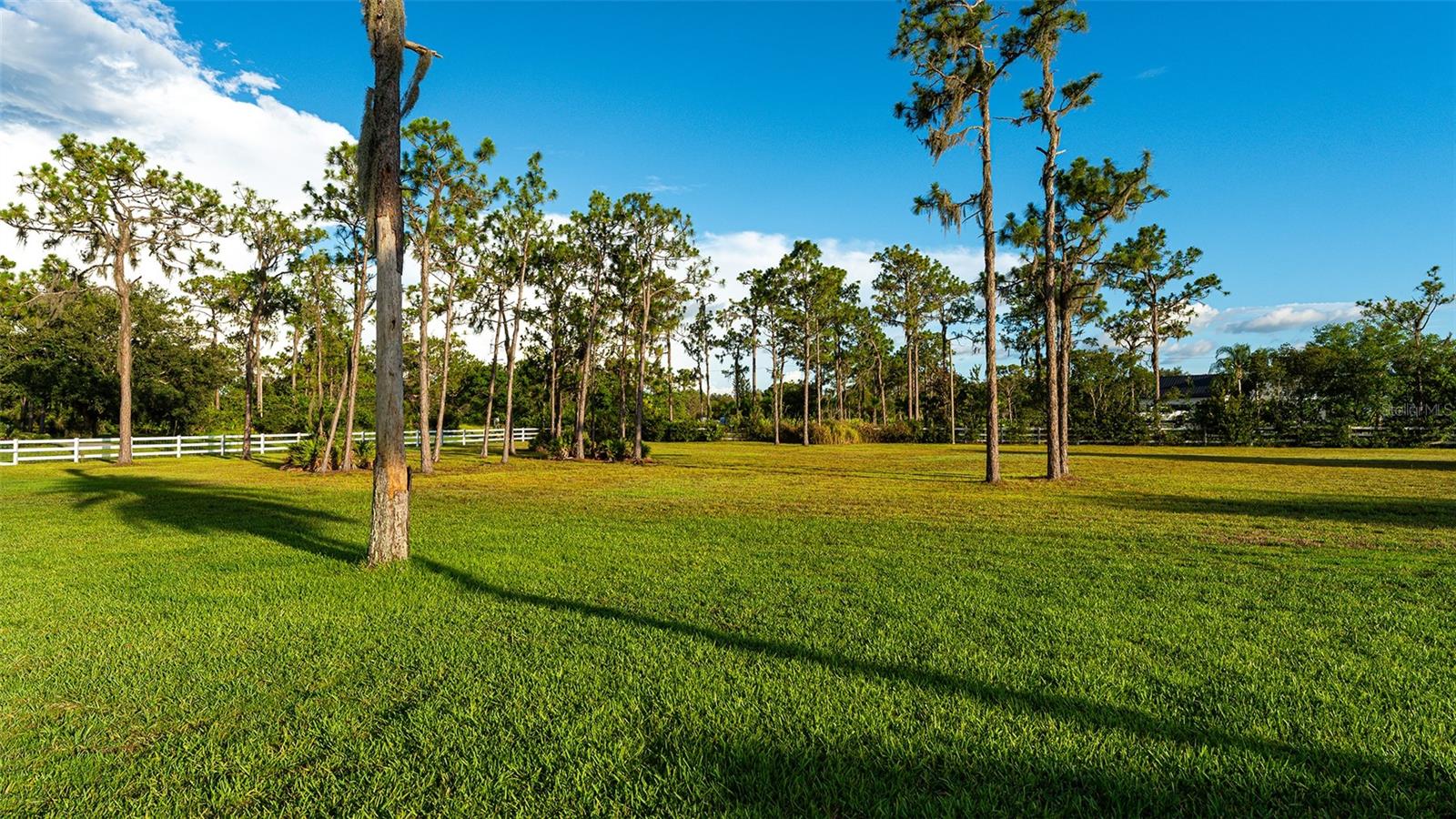 FOXWOOD AT PANTHER RIDGE - Residential