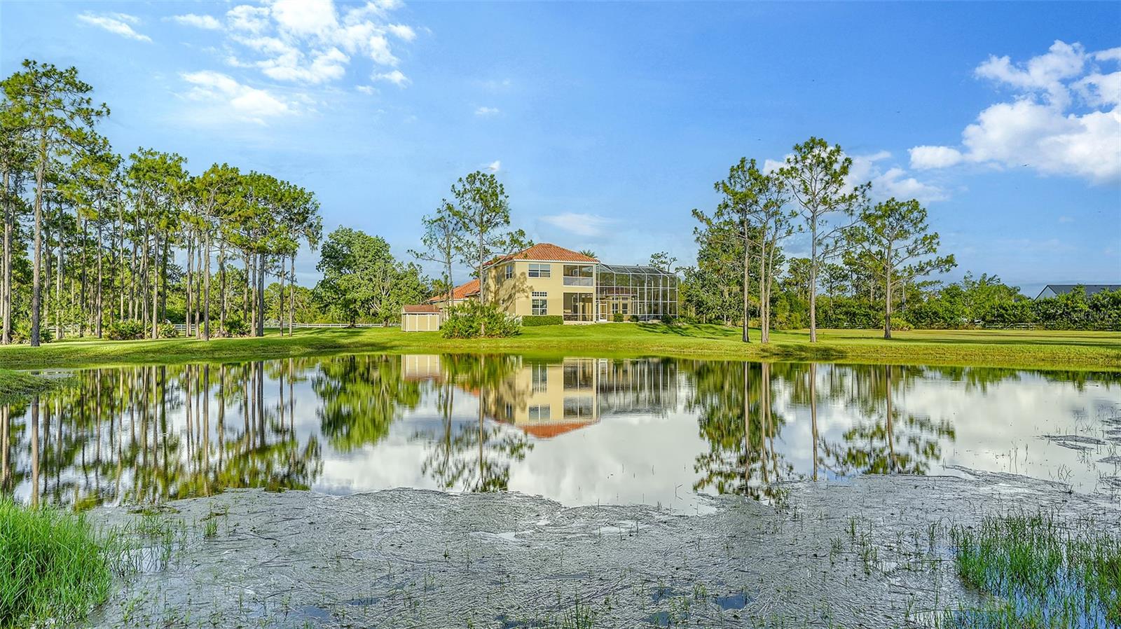 FOXWOOD AT PANTHER RIDGE - Residential