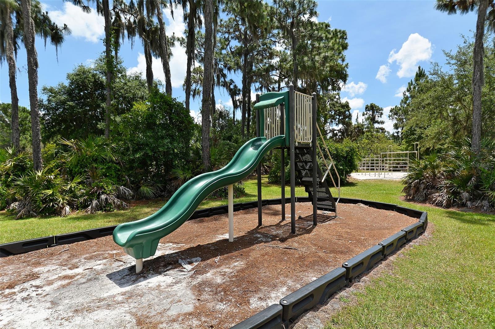 FOXWOOD AT PANTHER RIDGE - Residential