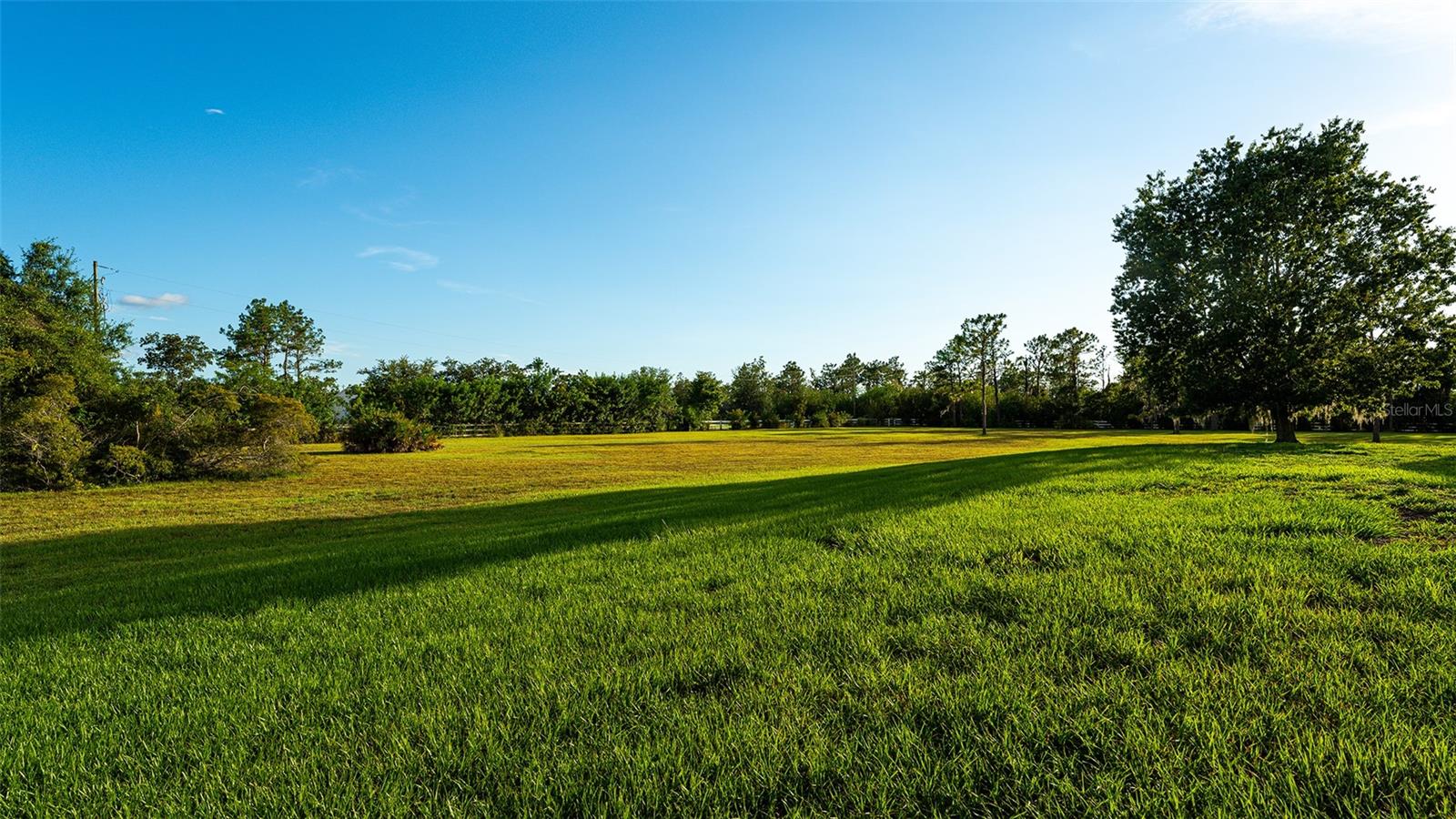 FOXWOOD AT PANTHER RIDGE - Residential