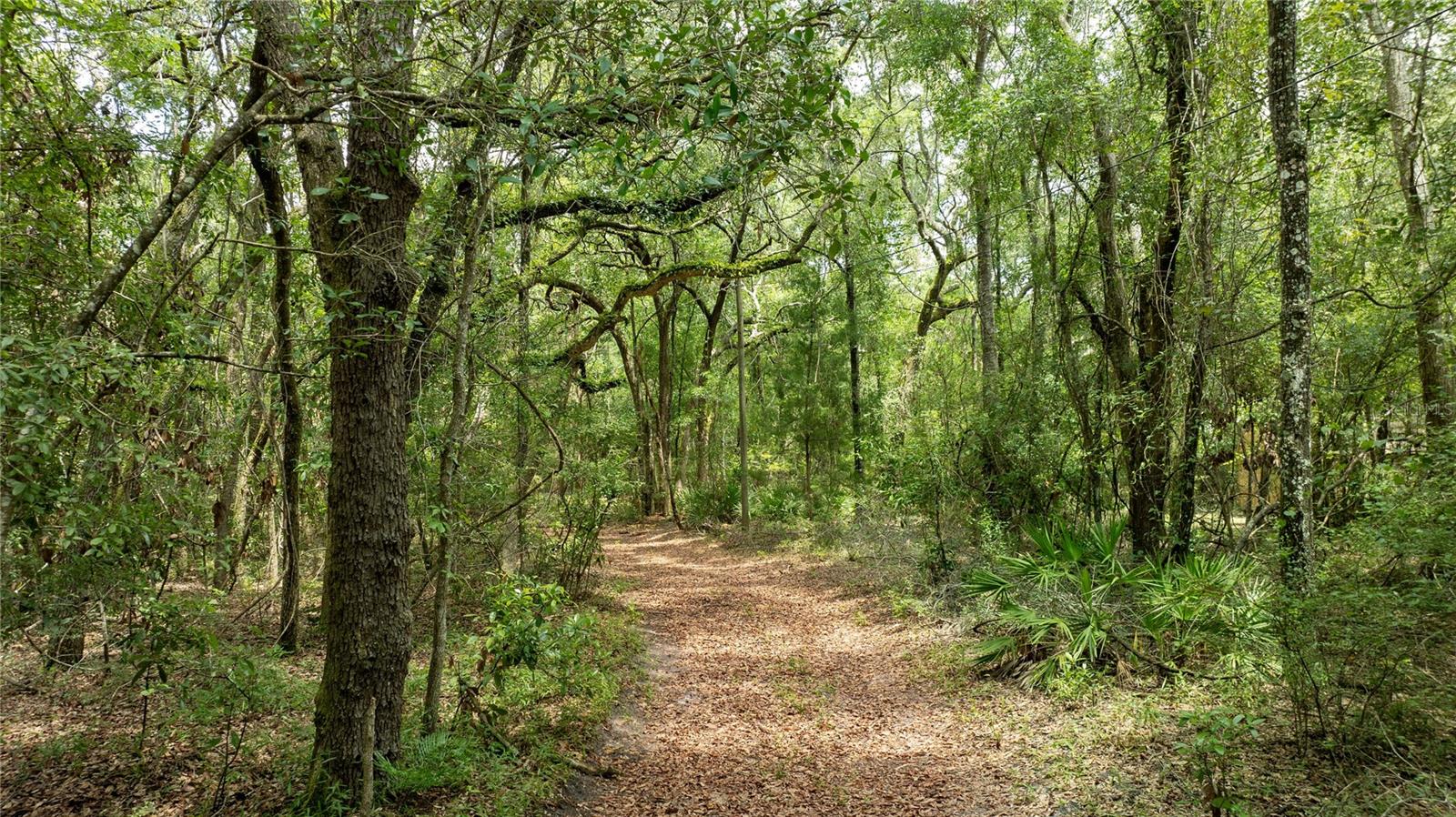 JEANNE HEIBNER SUB - Residential