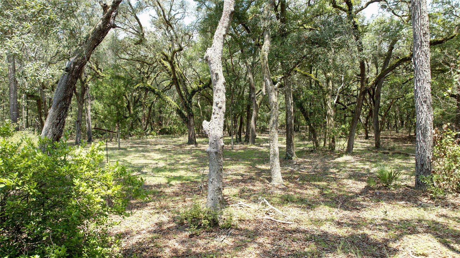 JEANNE HEIBNER SUB - Residential