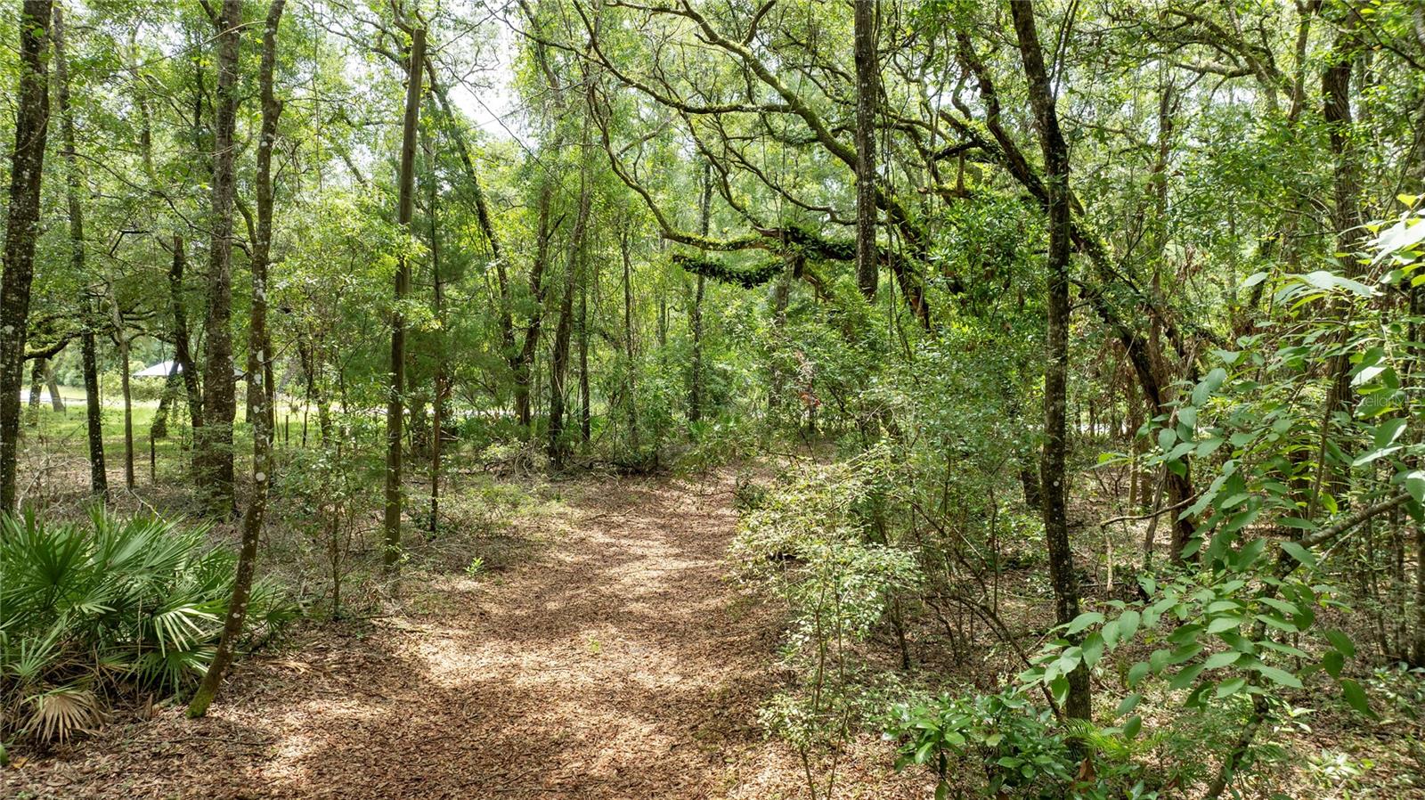 JEANNE HEIBNER SUB - Residential