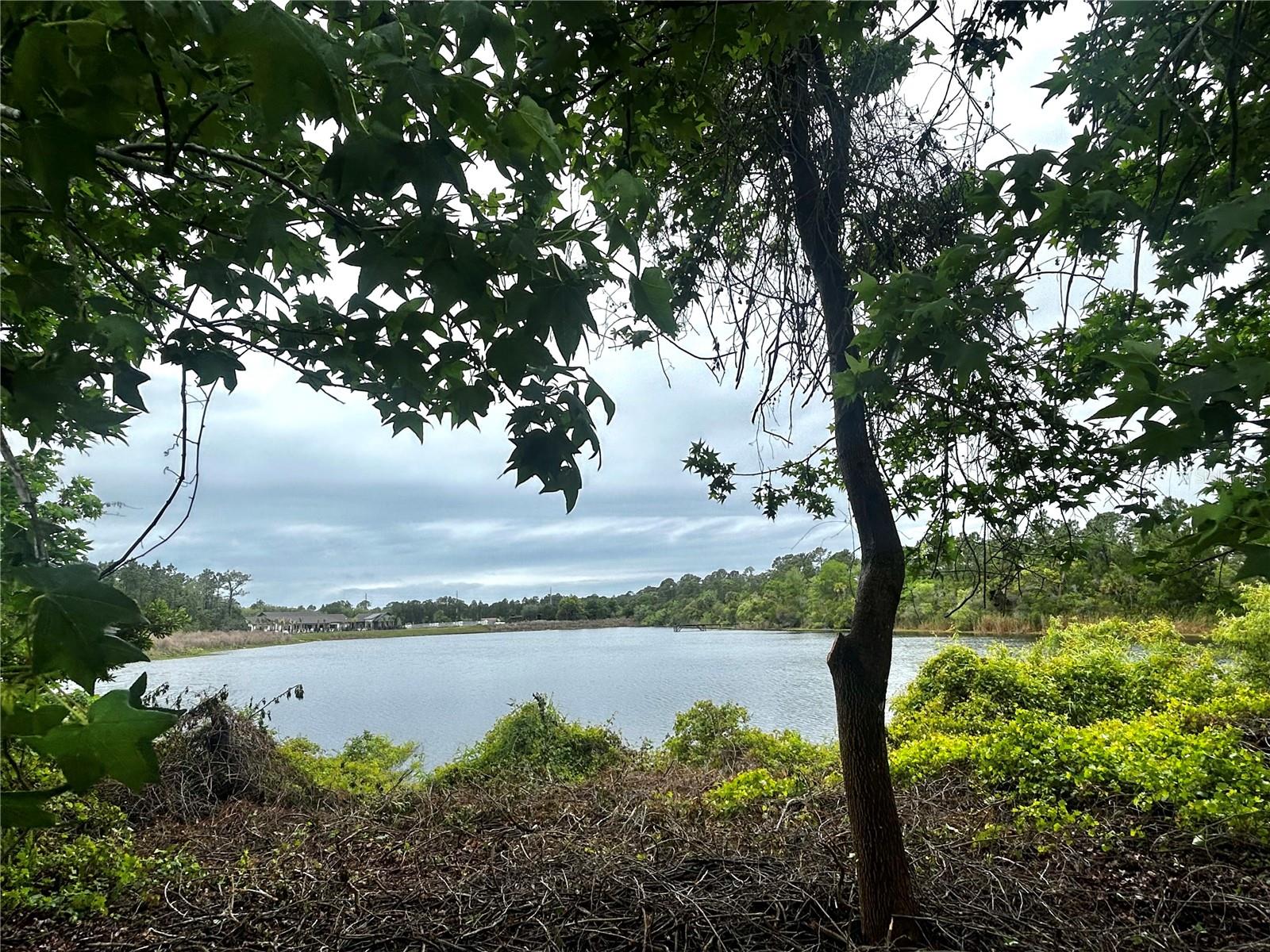 PINE LAKES - Residential