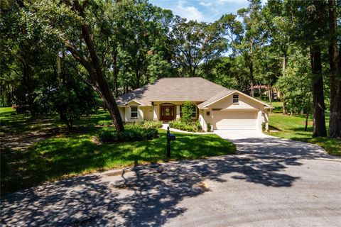 Tiny photo for 9540 SW 189th Court, Dunnellon, FL 34432 (MLS # OM705455)