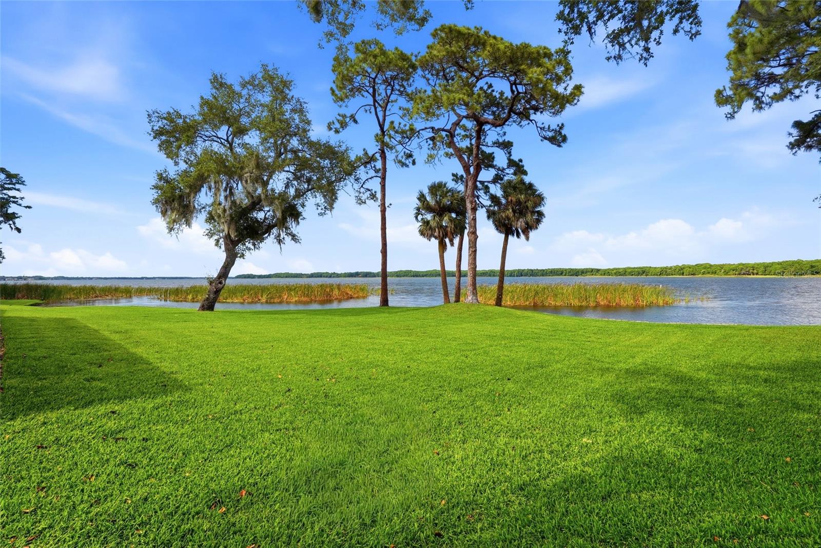 SANCTUARY AT COBBS LANDING THE - Residential