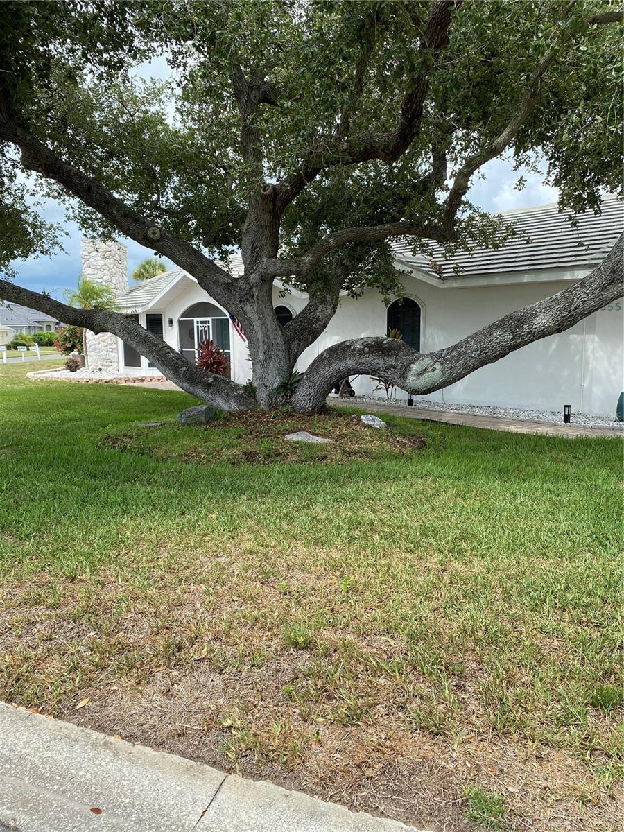 355 EDEN DRIVE