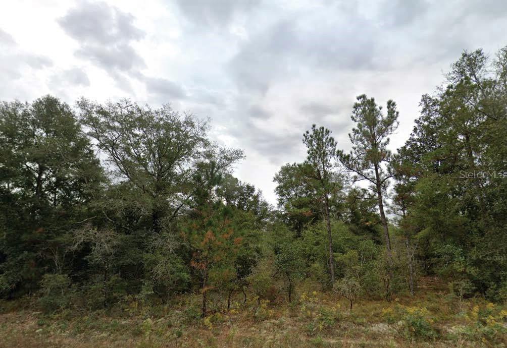 Located in the serene Sunny Hills community, this residential lot on Matheson Street offers an inviting opportunity to build in a quiet, wooded setting. With paved road access and utilities nearby, the parcel is ideal for a custom home or long-term investment. Positioned close to natural amenities including lakes, nature trails, and the Sunny Hills Golf Club, plus convenient access to Chipley via FL-77, it offers both seclusion and convenience. All information is deemed reliable but should be independently verified.
