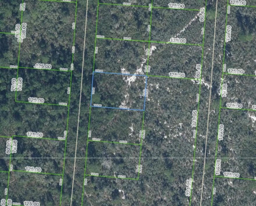 Great opportunity to invest in residential land in the growing community of Sun N Lakes in Sebring. This lot is located in an area experiencing steady development and new construction, making it ideal for future building or long-term land investment. Conveniently located near shopping, dining, schools, medical facilities, and outdoor recreation. As development continues throughout Highlands County, opportunities to purchase land in expanding areas are becoming more limited.

Platted subdivision with ongoing development; some roads may be unpaved. Buyers are encouraged to verify access and exact location prior to visiting the property.