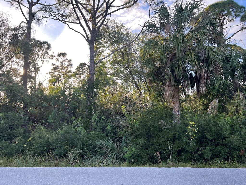 Photo of Punta Gorda, FL 33955 (MLS # C7504099)