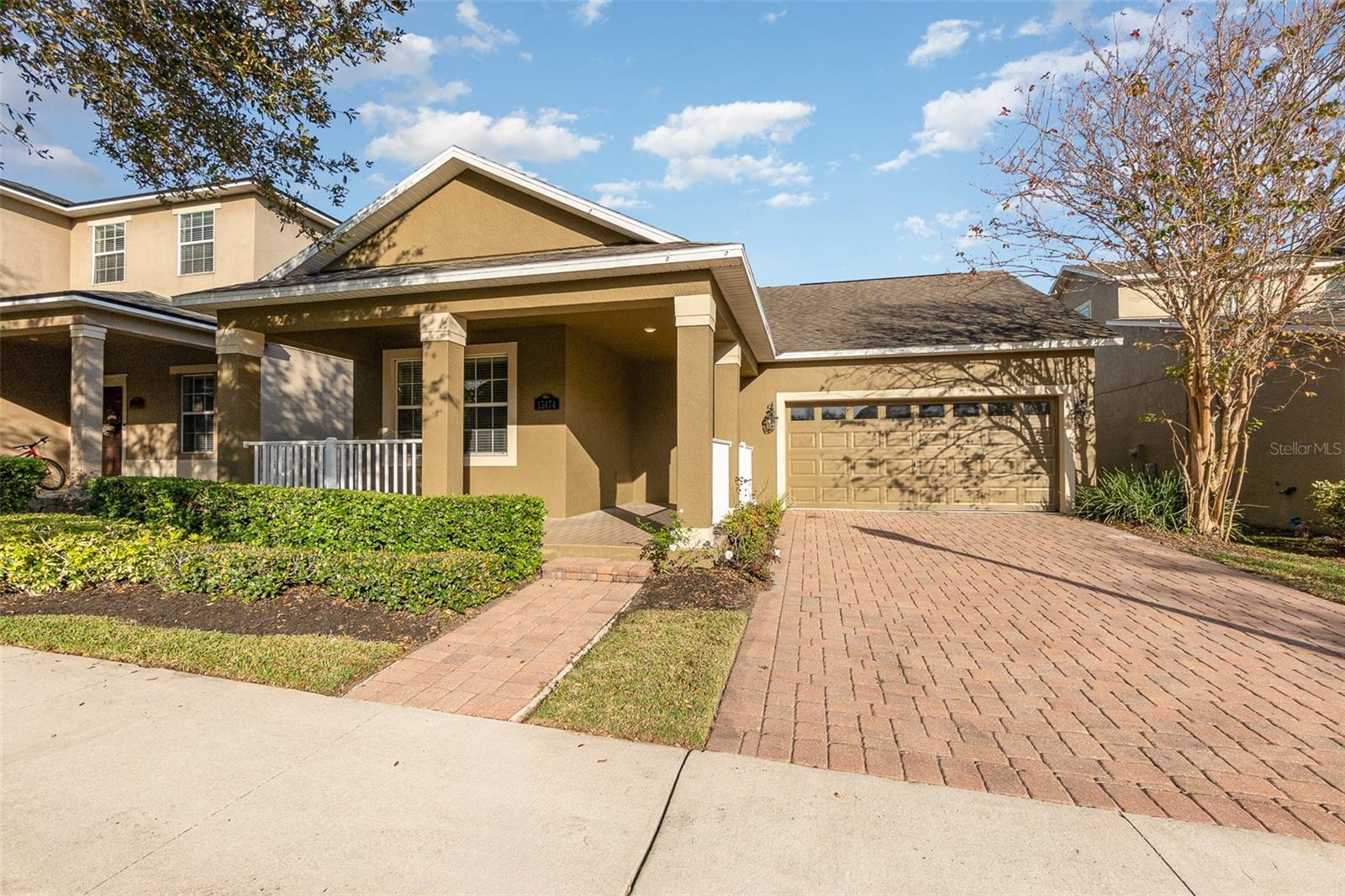 15174 EVERGREEN OAK