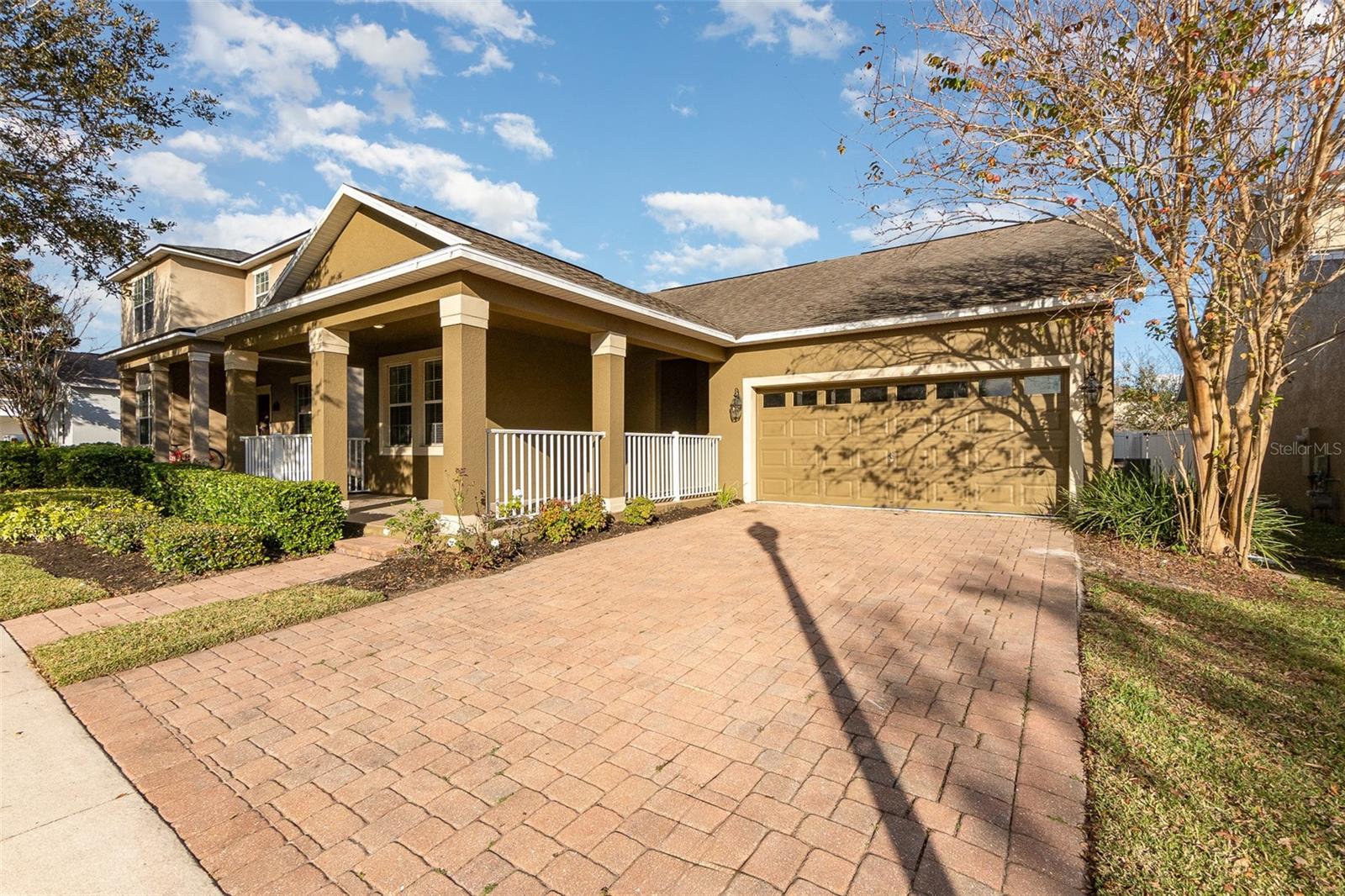 15174 EVERGREEN OAK