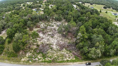 Tiny photo for Xx SW Begonia Court, Dunnellon, FL 34431 (MLS # O6417571)