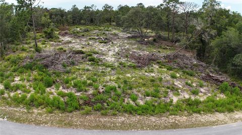 Photo of Xx SW Begonia Court, Dunnellon, FL 34431 (MLS # O6417571)