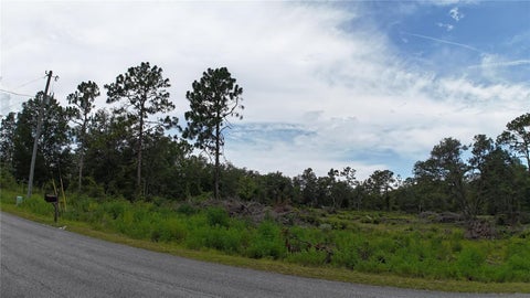 Tiny photo for Xx SW Begonia Court, Dunnellon, FL 34431 (MLS # O6417571)